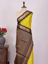 Anindita - Gadwal Silk