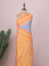 Dwijavathi - Gadwal Silk
