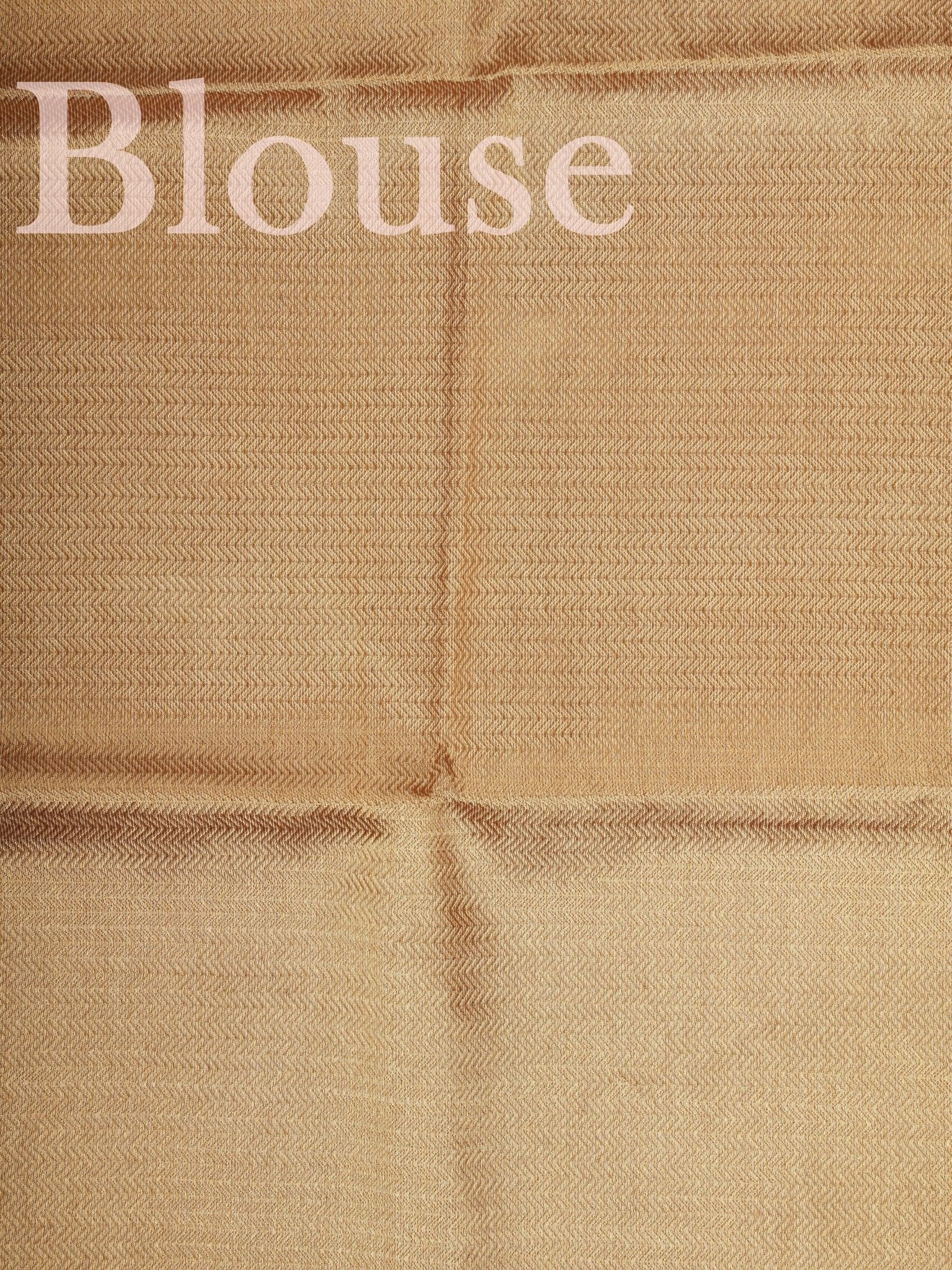 tissue Gold Kora Semi Tissue - Manoranjitham Weaves - Handloom Store