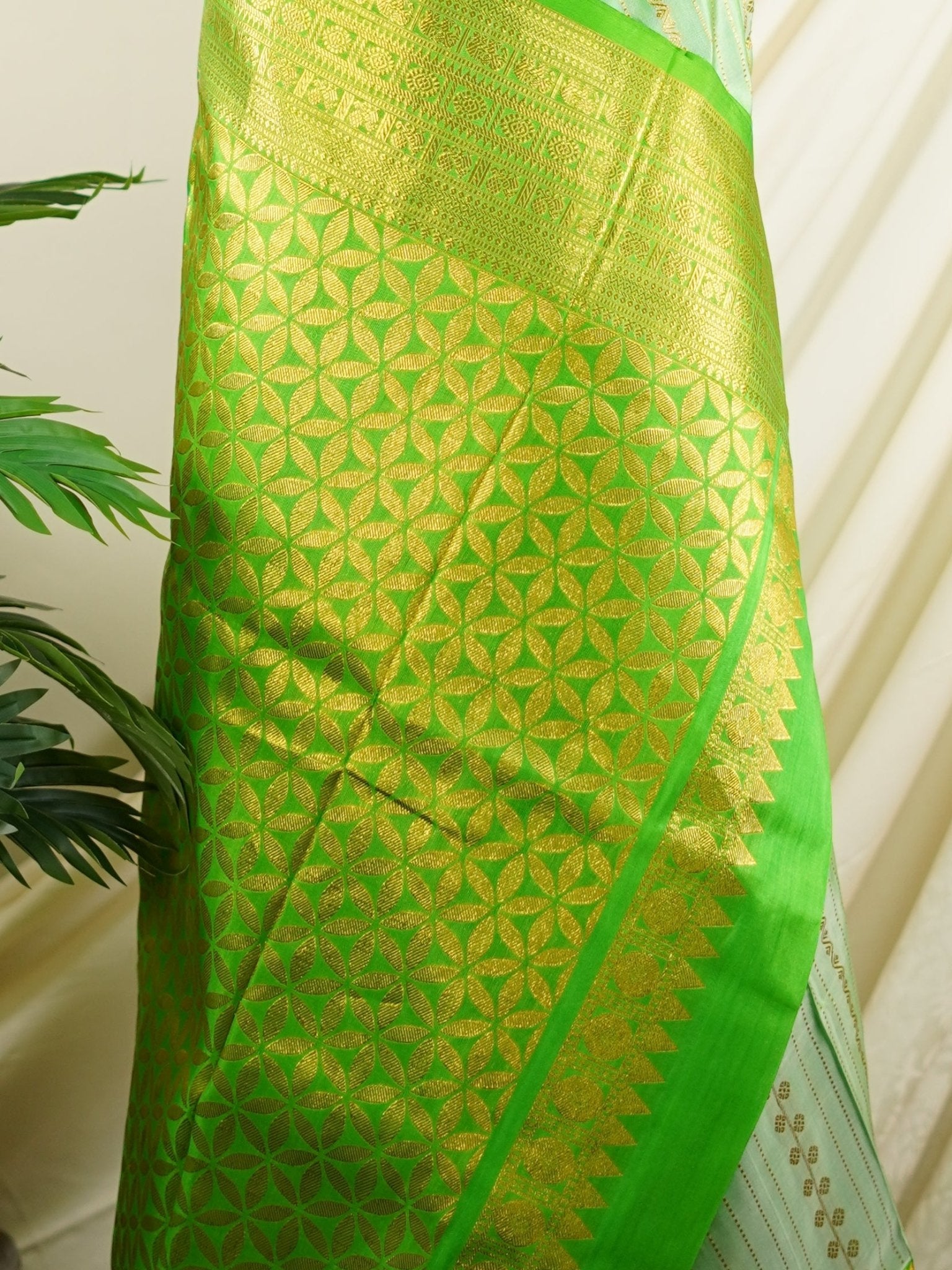Venkatagiri Silk Creamish Green 100% Pure Silk - Manoranjitham Weaves - Handloom Store