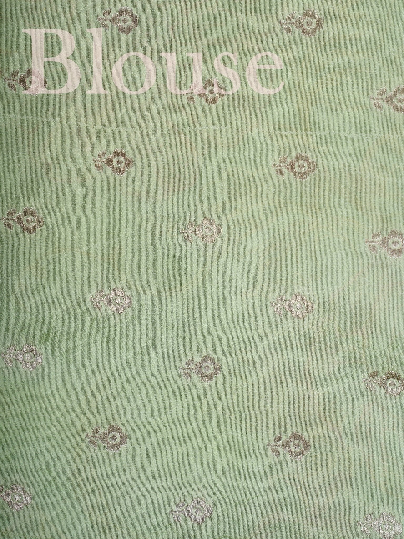 Katan Pista Green 100% Pure Tissue - Manoranjitham Weaves - Handloom Store