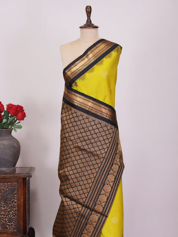 Anindita - Gadwal Silk