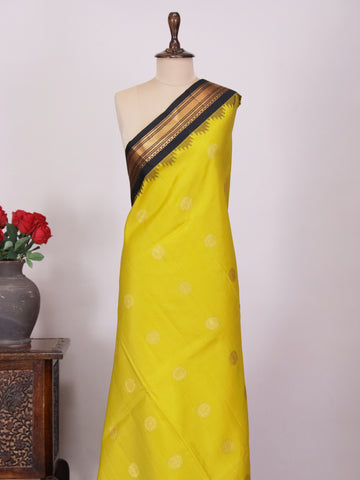 Anindita - Gadwal Silk