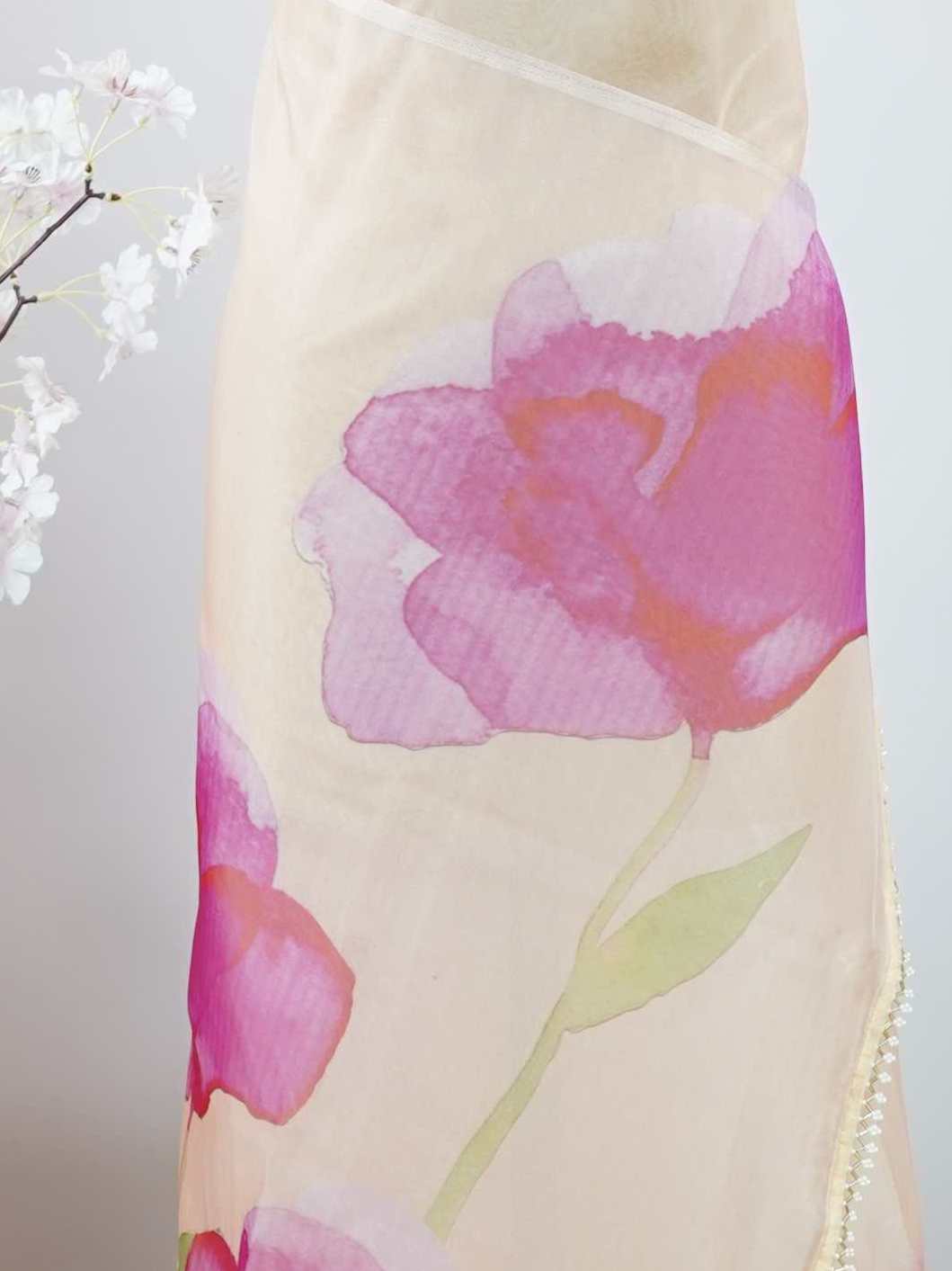 Organza Organza Kamala - Chinnon saree - Manoranjitham Weaves - Handloom Store