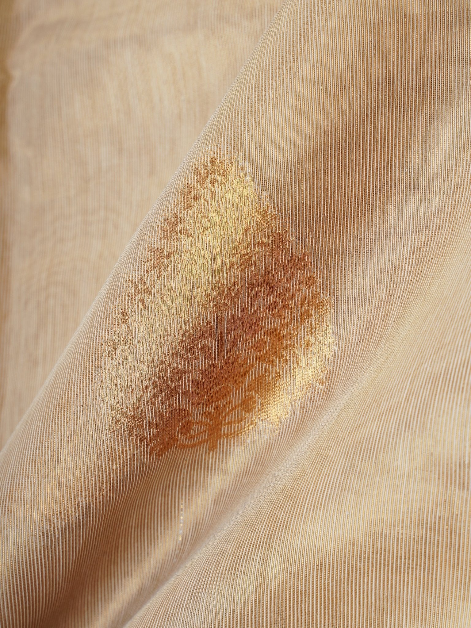 tissue Gold Kora Semi Tissue - Manoranjitham Weaves - Handloom Store