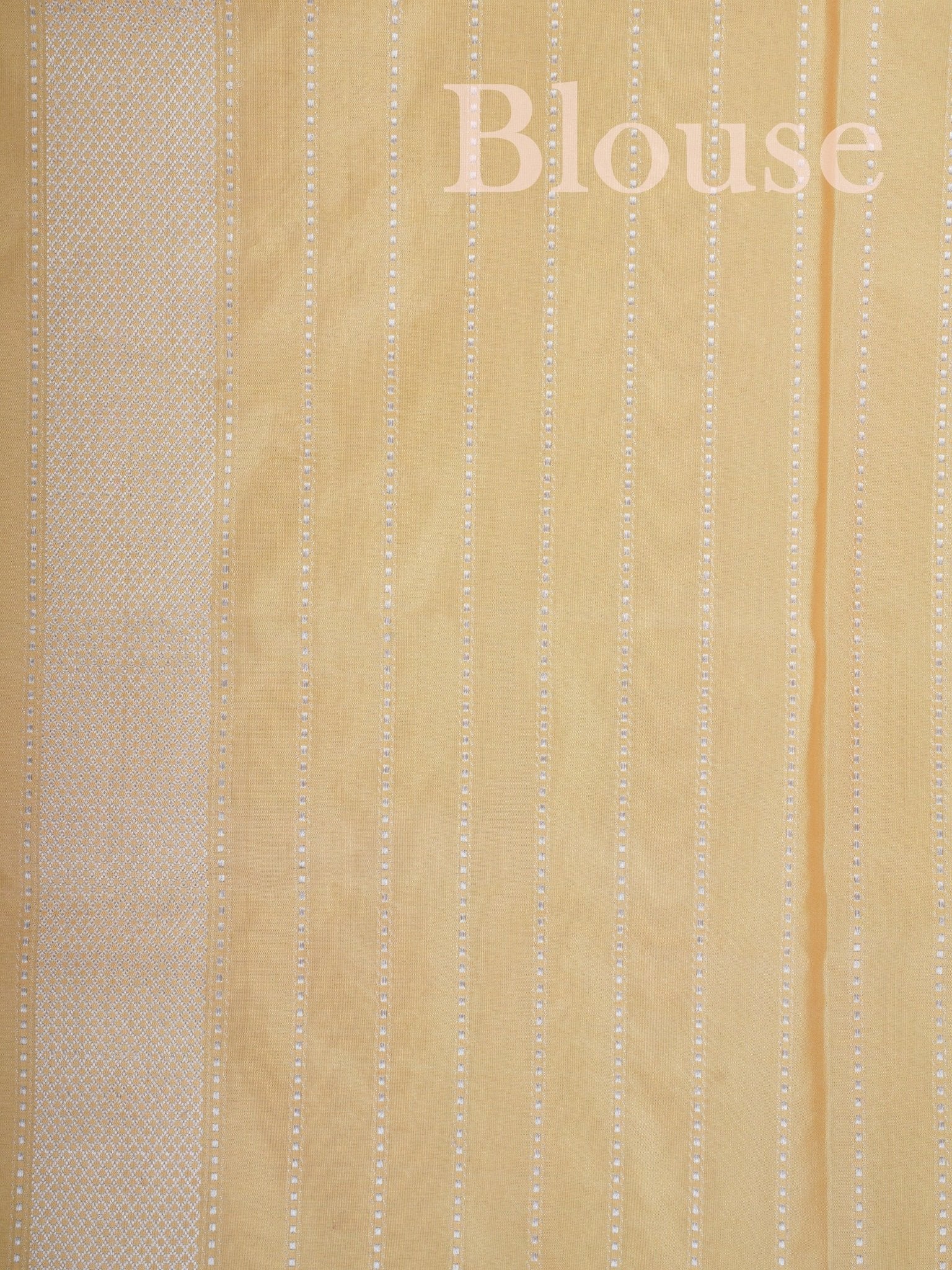 Katan Parakeet 100% Pure Katan Silk - Manoranjitham Weaves - Handloom Store