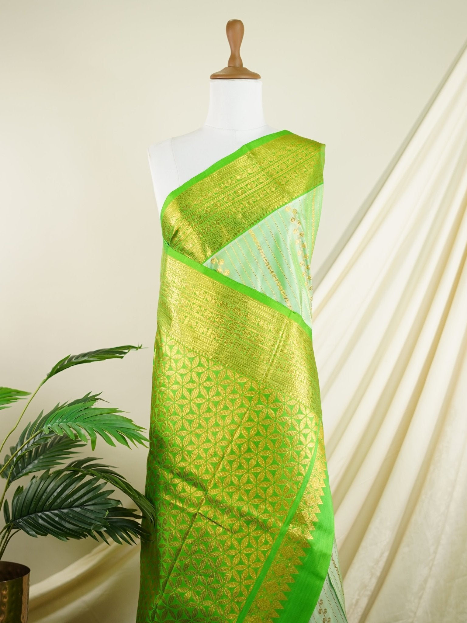 Venkatagiri Silk Creamish Green 100% Pure Silk  - Manoranjitham Weaves - Handloom Store
