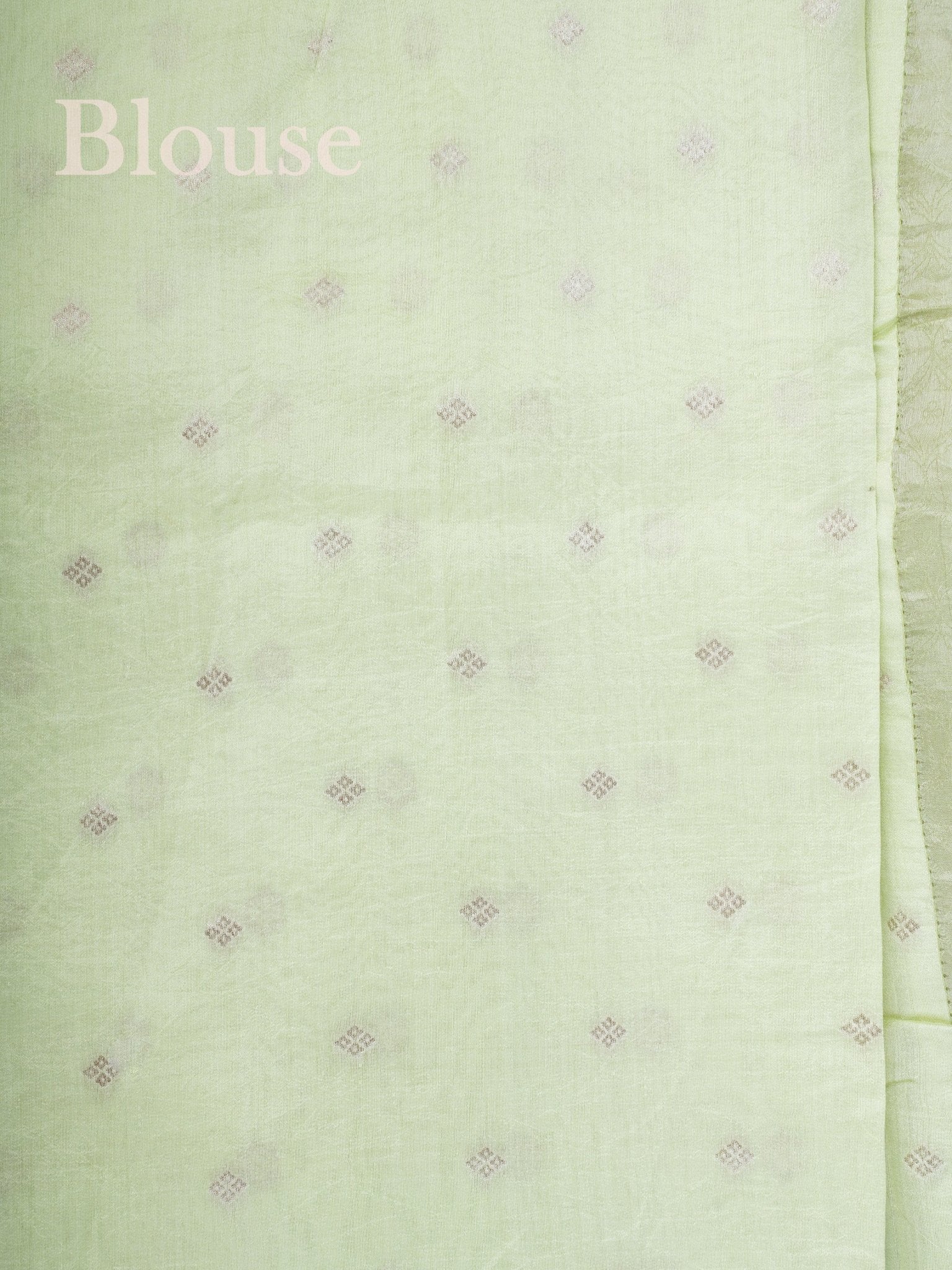 Katan Pista Green 100% Pure Tissue - Manoranjitham Weaves - Handloom Store