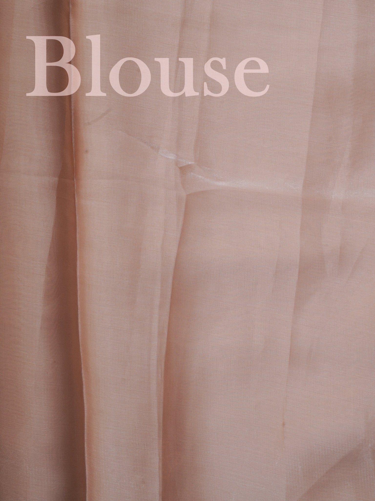 Katan Beige 100% Pure Tissue - Manoranjitham Weaves - Handloom Store