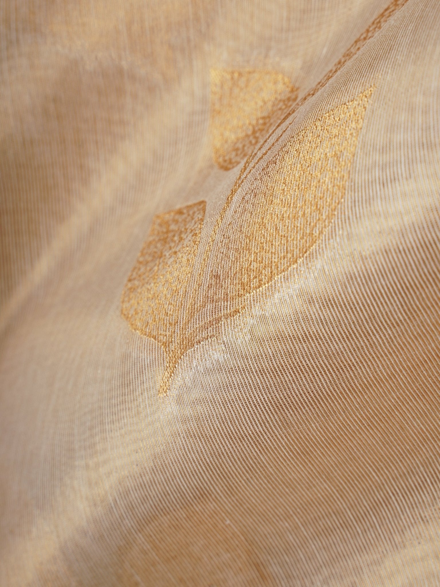 tissue Gold Kora Semi Tissue - Manoranjitham Weaves - Handloom Store