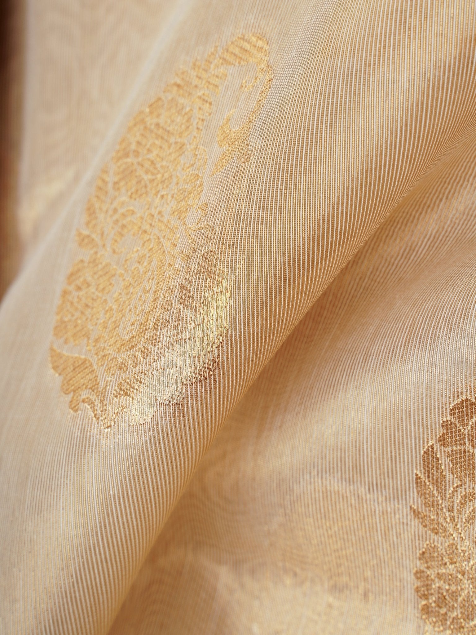 tissue Gold Kora Semi Tissue - Manoranjitham Weaves - Handloom Store
