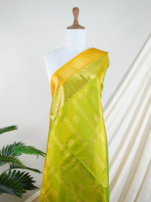 Venkatagiri Silk Parrot Green 100% Pure Silk  - Manoranjitham Weaves - Handloom Store