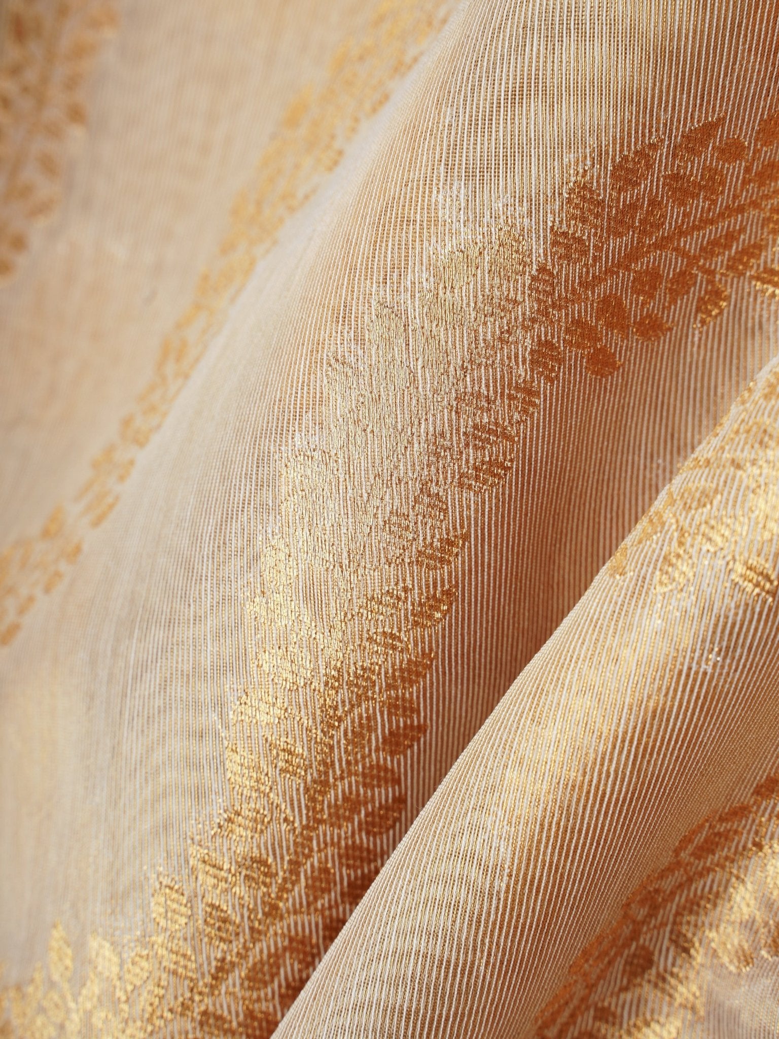 tissue Gold Kora Semi Tissue - Manoranjitham Weaves - Handloom Store