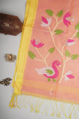 Cotton 100% Pure Cotton Handloom